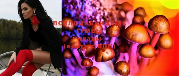бошки Белокуриха