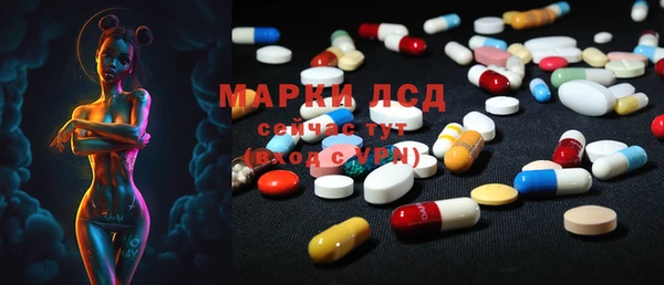бошки Белокуриха