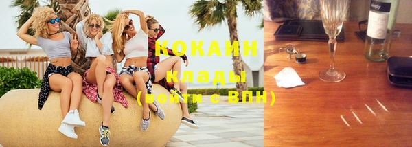 бошки Белокуриха