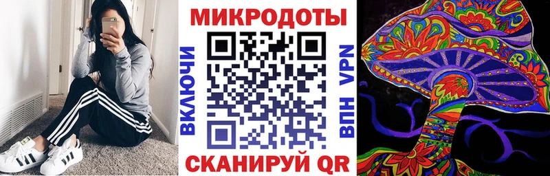 Галлюциногенные грибы Psilocybe Воскресенск